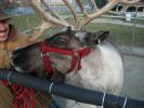 <img0*100:stuff/aj/179797/1262055254.jpg>
