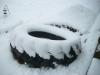 <img100*0:stuff/aj/179797/1262057962.jpg>