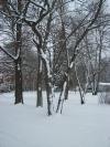 <img100*0:stuff/aj/179797/1263016737.jpg>