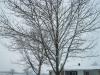 <img100*0:stuff/aj/179797/1263016876.jpg>