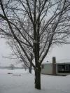 <img100*0:stuff/aj/179797/1263016947.jpg>