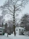 <img100*0:stuff/aj/179797/1263017224.jpg>