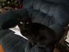 <img100*0:stuff/aj/179797/1263589115.jpg>