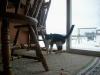 <img100*0:stuff/aj/179797/1263589198.jpg>