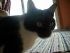 <img100*0:stuff/aj/179797/1263589564.jpg>