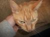 <img100*0:stuff/aj/179797/Mo1.jpg>