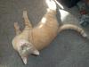 <img100*0:stuff/aj/179797/Mo11.jpg>