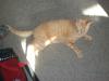 <img100*0:stuff/aj/179797/Mo12.jpg>