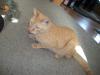 <img100*0:stuff/aj/179797/Mo2.jpg>