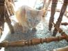 <img100*0:stuff/aj/179797/Mo3.jpg>