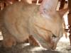 <img100*0:stuff/aj/179797/Mo4.jpg>