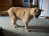 <img100*0:stuff/aj/179797/Mo5.jpg>