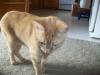 <img100*0:stuff/aj/179797/Mo6.jpg>