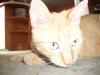 <img100*0:stuff/aj/179797/Mo7.jpg>