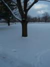 <img100*0:stuff/aj/179797/Snow7.jpg>