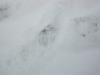 <img100*0:stuff/aj/179797/SnowE.jpg>