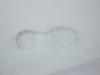 <img100*0:stuff/aj/179797/SnowF.jpg>