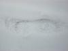 <img100*0:stuff/aj/179797/SnowG.jpg>