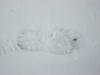 <img100*0:stuff/aj/179797/SnowH.jpg>