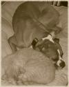 <img100*0:stuff/aj/179797/comfort.jpg>