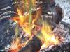 <img100*0:stuff/aj/179797/fire.19.jpg>