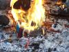 <img100*0:stuff/aj/179797/fire.21.jpg>