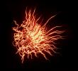 fireworks photos