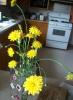 <img0*100:stuff/aj/179797/flowers2-35.jpg>