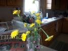 <img0*100:stuff/aj/179797/flowers2-40.jpg>