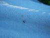 <img100*0:stuff/aj/179797/imperfection-kpc.1.jpg>