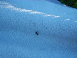 <img300*0:stuff/aj/179797/imperfection-kpc.1.jpg>