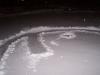 <img100*0:stuff/aj/179797/snow%20fish4.1.jpg>