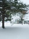 <img100*0:stuff/aj/179797/snow1.2.jpg>