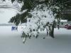 <img100*0:stuff/aj/179797/snow2.1.jpg>