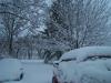 <img100*0:stuff/aj/179797/snow4.jpg>