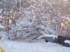 <img100*0:stuff/aj/179797/snow6.jpg>