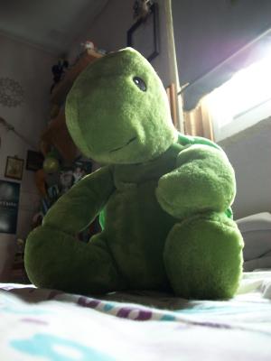 <img300*0:stuff/aj/179797/sunlight.jpg>