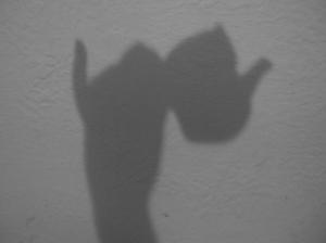 <img300*0:stuff/aj/179797/tea_time.jpg>