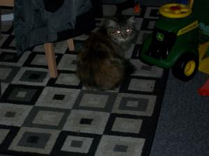 <img300*0:stuff/aj/180493/1250327263.jpg>