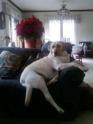 <img300*0:stuff/aj/180734/%27Crossed-Legged%27.jpg>