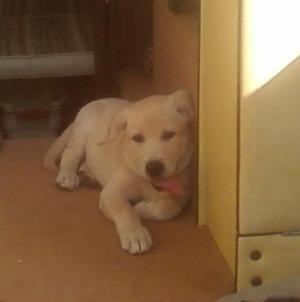 <img300*0:stuff/aj/180734/%27Crusin%27%20on%20the%20Boat%27.jpg>