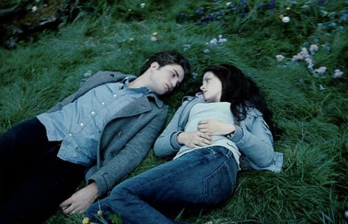 <img500*0:stuff/aj/181716/Meadow.jpg>