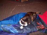 <img200*0:stuff/aj/182611/Senjin%27s%20Sleeping%20Bag.jpg>