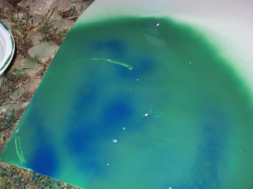 <img500*0:stuff/aj/182611/green%20blue%20spot.jpg>