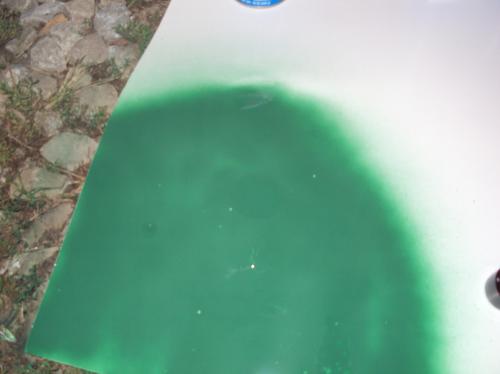 <img500*0:stuff/aj/182611/green%20start.jpg>