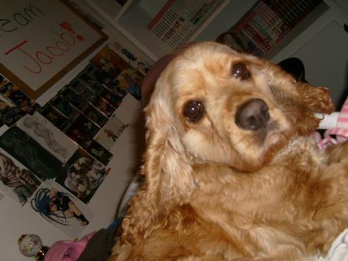 <img500*0:stuff/aj/183149/1264561276.jpg>