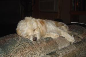 <img300*0:stuff/aj/183174/1246512125.jpg>