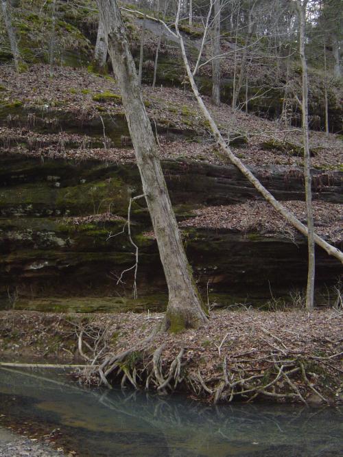 <img500*0:stuff/aj/183174/1319342297.jpg>