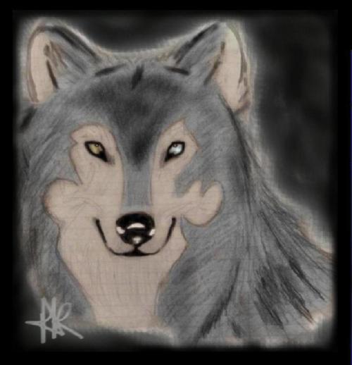 <img500*0:stuff/aj/183221/1267400050.jpg>
