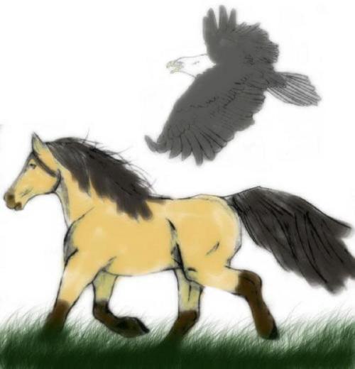 <img500*0:stuff/aj/183221/1267671653.jpg>